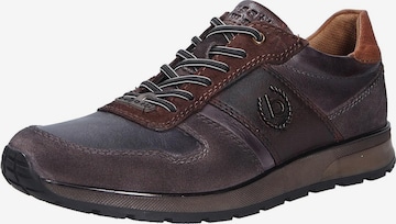 ruda bugatti Sportbačiai be auliuko: priekis