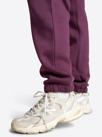 TATES Tapered Workout Pants in Purple