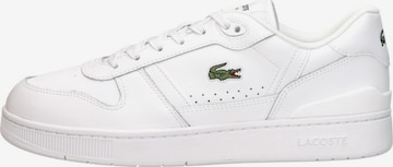 Baskets basses 'T Clip' LACOSTE en blanc : devant
