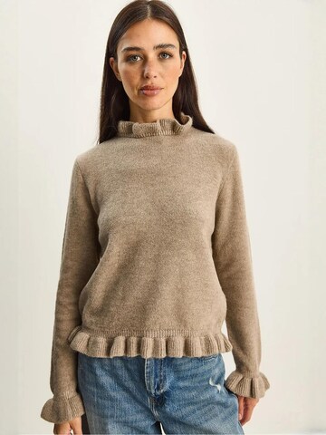 Bianco Lucci - Pullover em castanho: frente