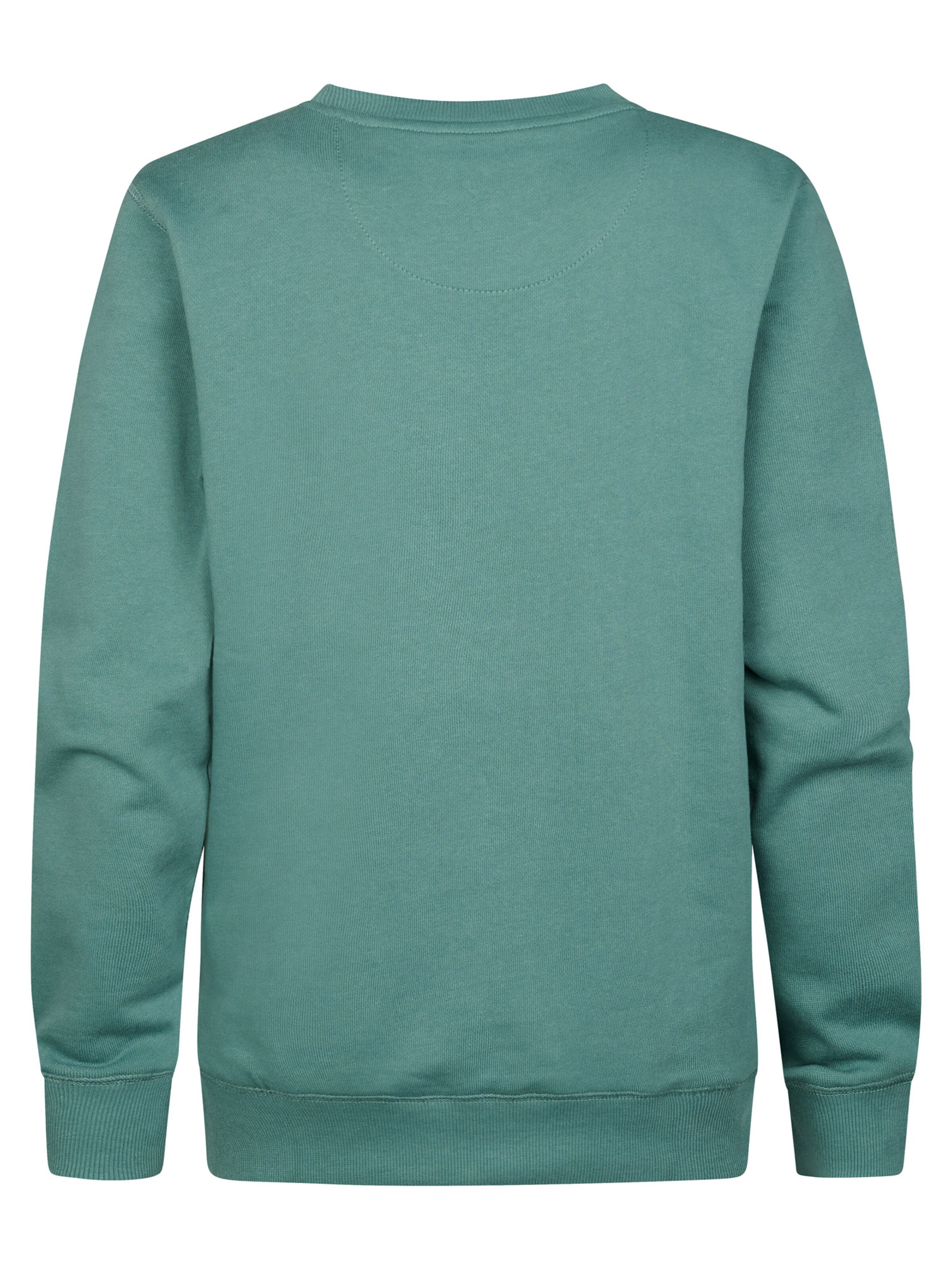 Petrol Industries Sweatshirt in Green