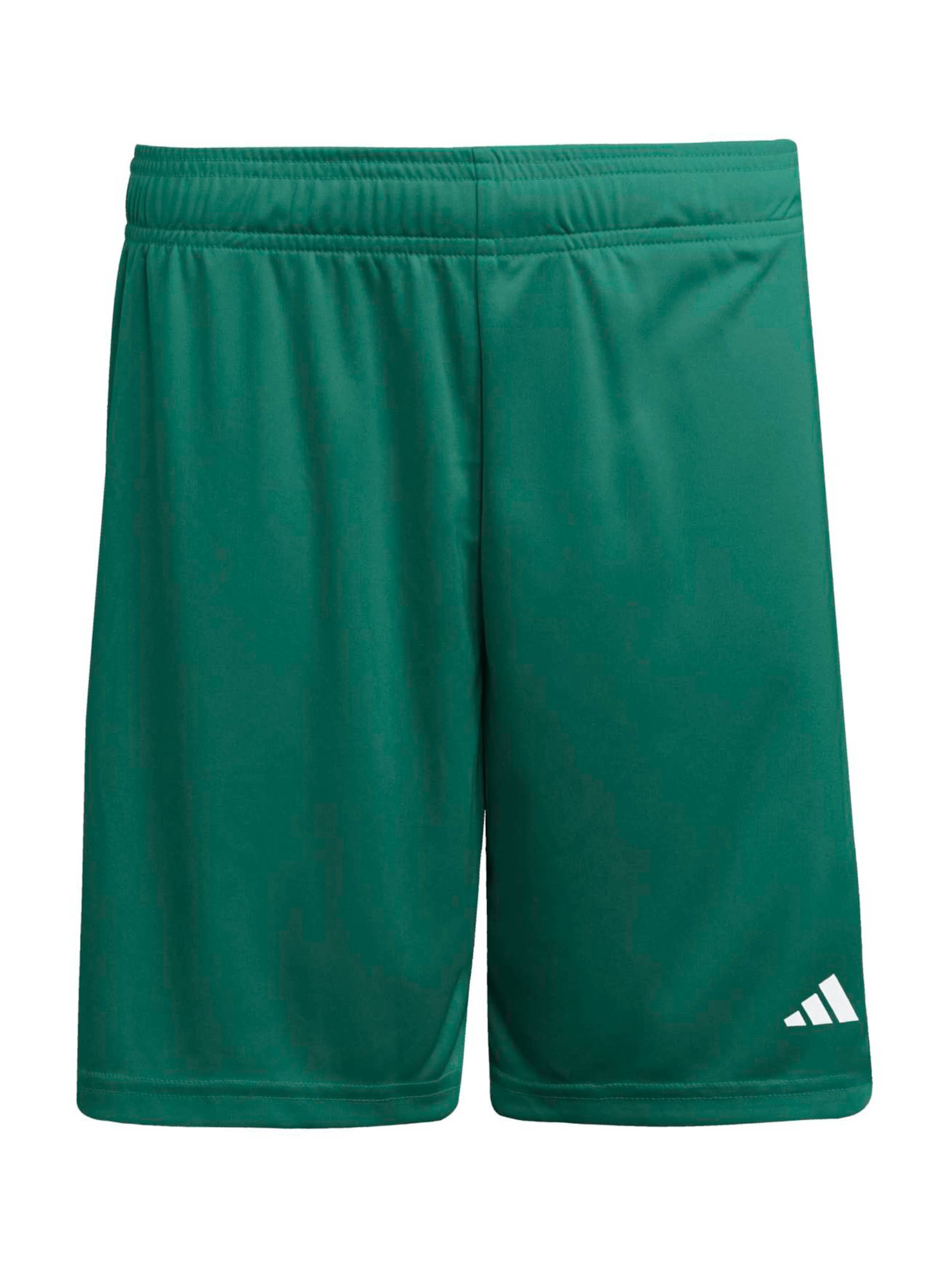 Regular Pantalon de sport 'ENT26' ADIDAS PERFORMANCE en vert : devant