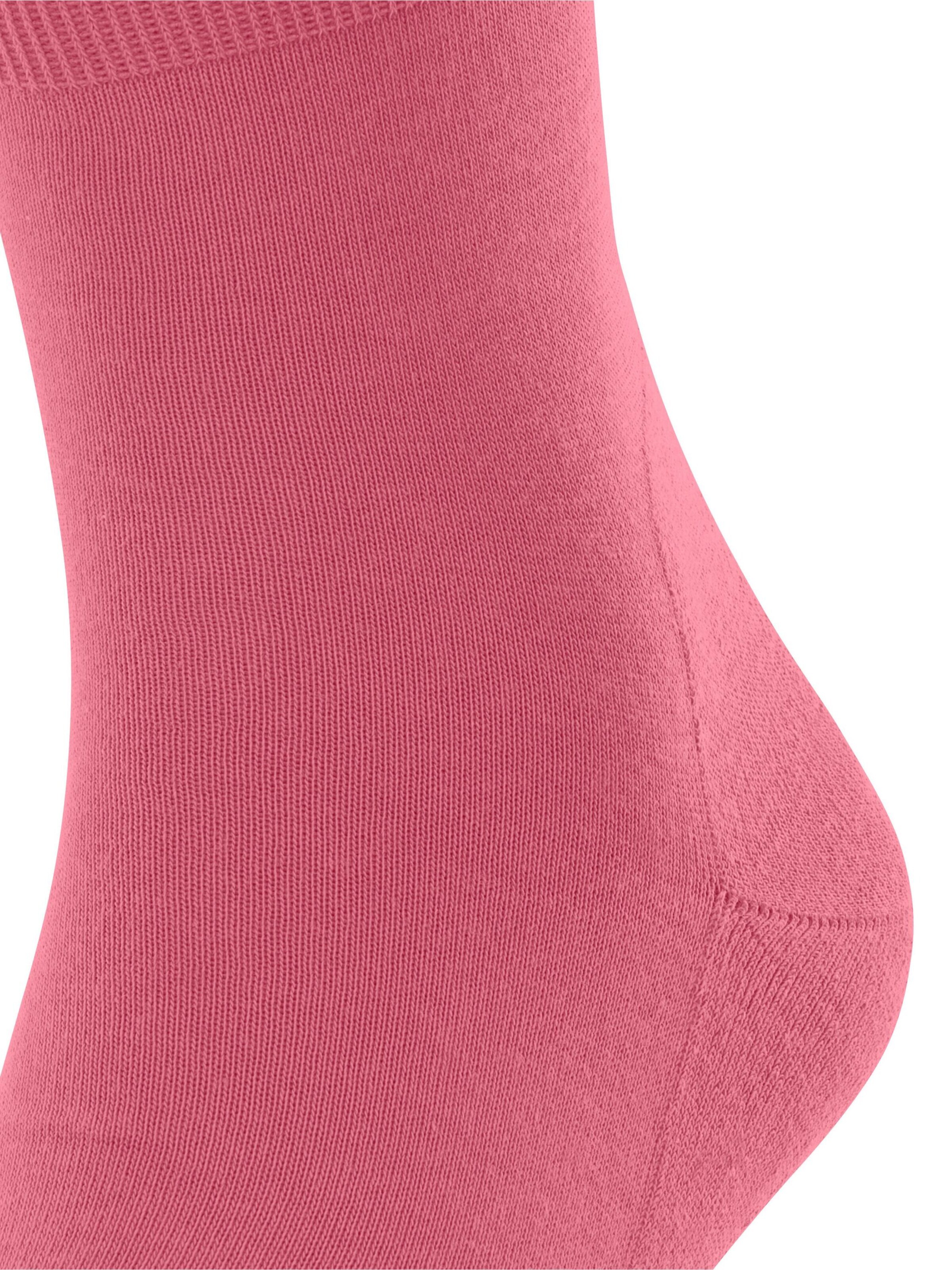 FALKE Socks 'Run' in Purple