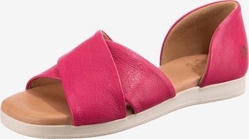 Apple of Eden Sandals 'Celine' in Pink: front
