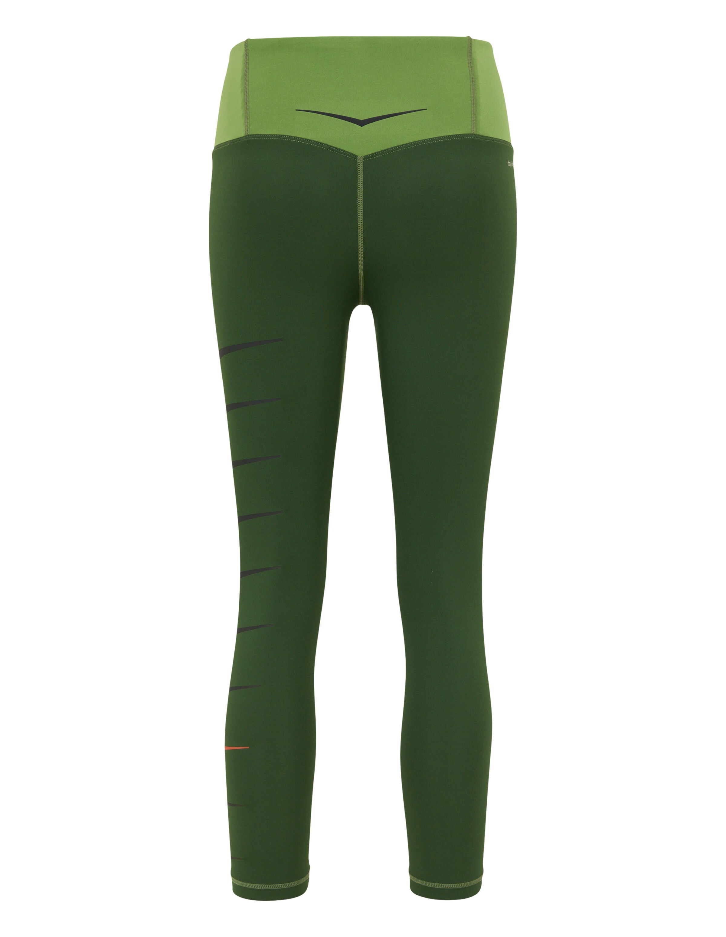 VENICE BEACH Skinny Leggings in Green