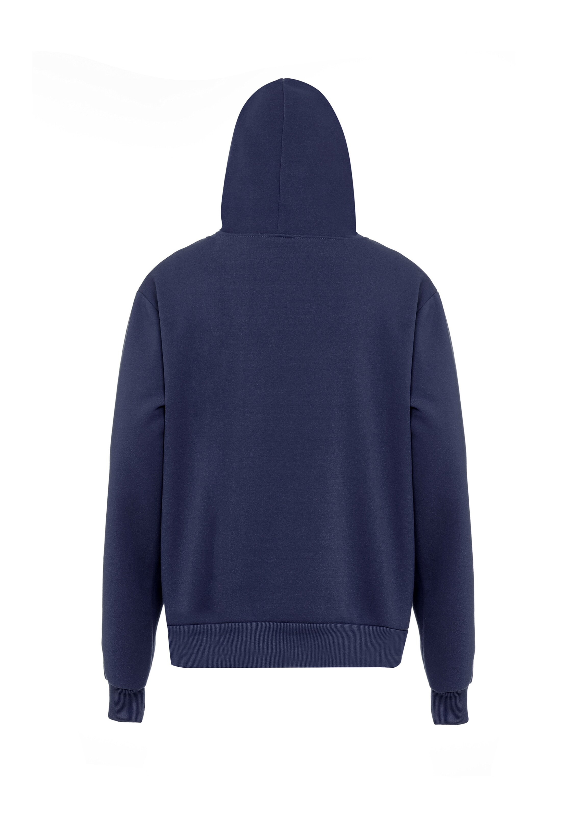 ALEKO Кофта на молнии в Синий