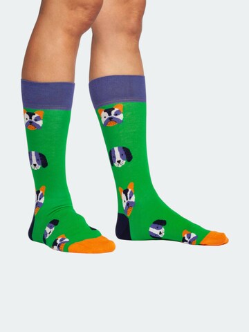 DillySocks Socks 'Dog vs Biever' in Mixed colors: front