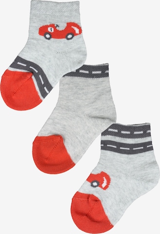 ROGO Socks in Grey: front
