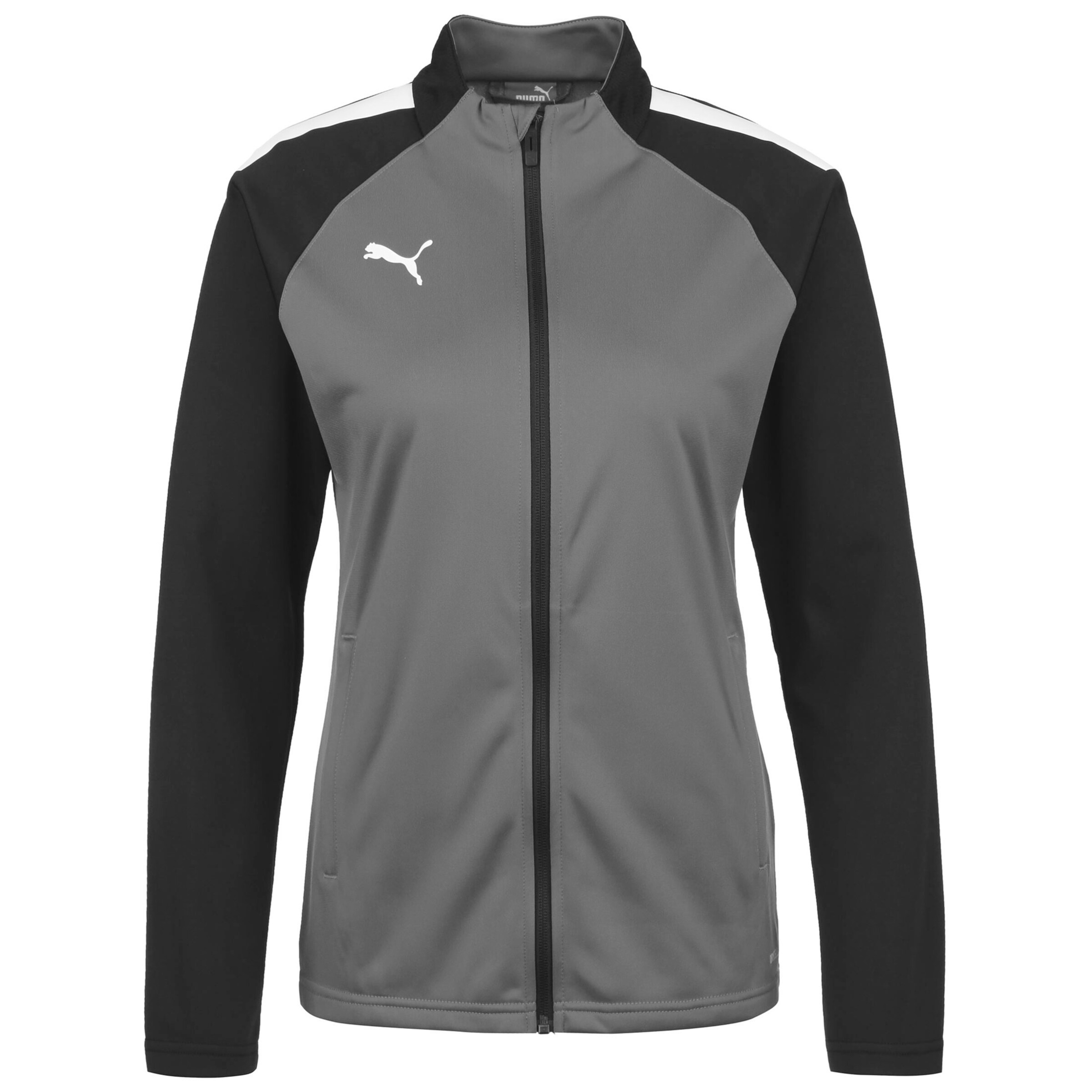 PUMA Jacke 'TeamLiga' in Schwarz: Vorderseite