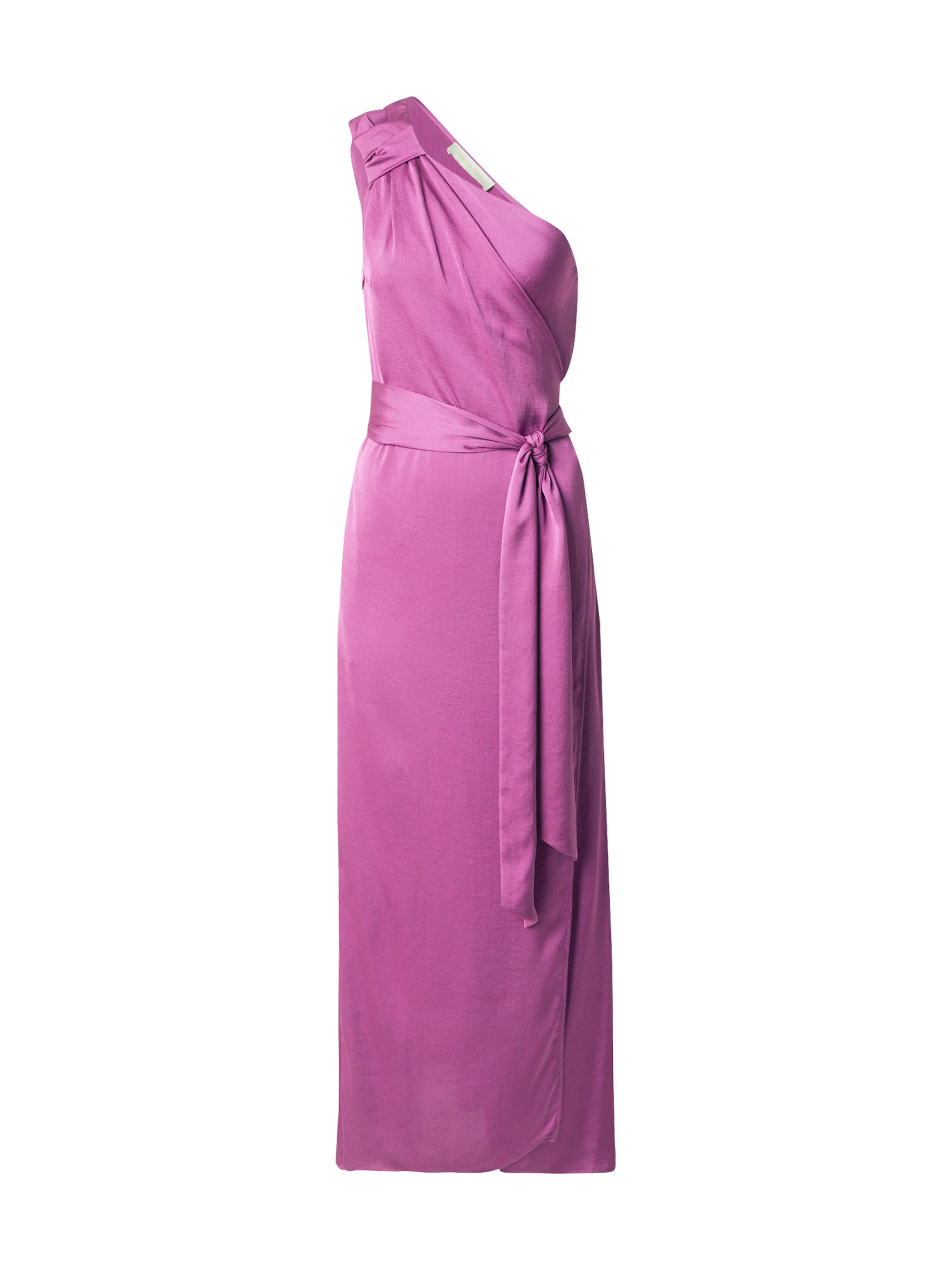 Vanessa Bruno Dress 'EURIA' in Pink: front