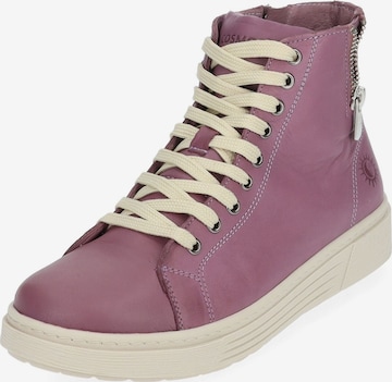 Sneaker alta di COSMOS COMFORT in lilla: frontale