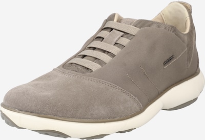 Sneaker bassa GEOX di colore grigio / talpa, Visualizzazione prodotti