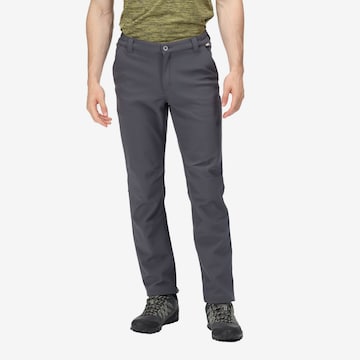 REGATTA Regular Outdoor Pants 'Fenton' in Grey: front