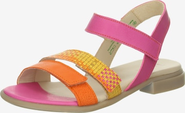 THINK! Sandals 'Kamaa' in Pink: front