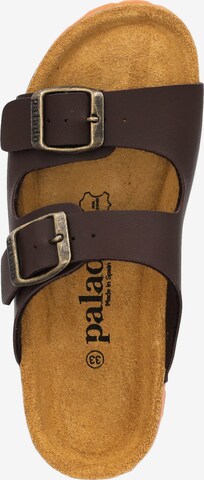 Palado Sandals & Slippers in Brown