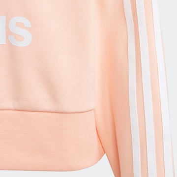 ADIDAS ORIGINALS Mikina 'Adicolor' – pink