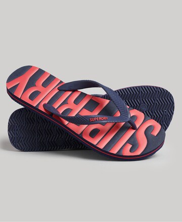 Superdry T-Bar Sandals in Blue