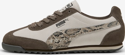 PUMA Sneakers in 41 in Cream / Dark brown, Item view