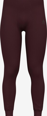 ODLO Sporthose 'ACTIVE WARM' in Rot: Vorderseite