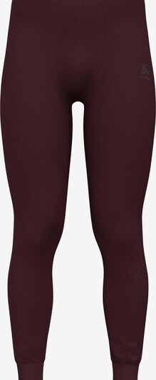 ODLO Sporthose 'ACTIVE WARM' in XL/Slim in bordeaux, Produktansicht