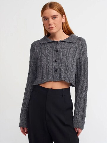 Cardigan Dilvin en gris : devant