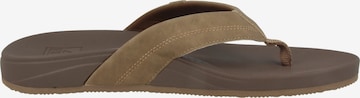 REEF Beach & Pool Shoes 'Cushion Spring' in Brown