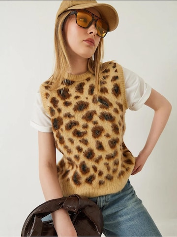 Pull-over Bianco Lucci en marron : devant