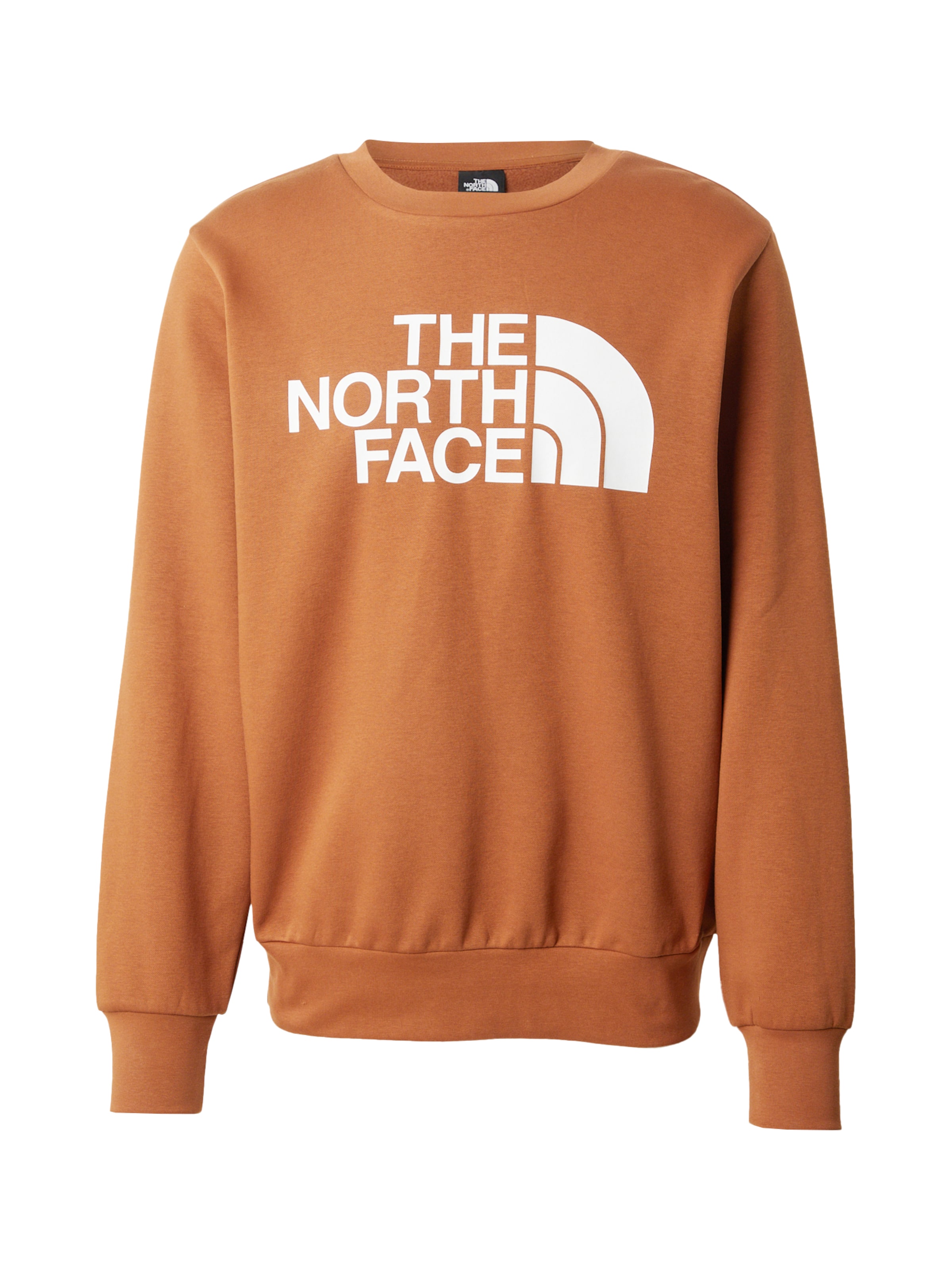 THE NORTH FACE Sweatshirt 'EASY' in Brown: front