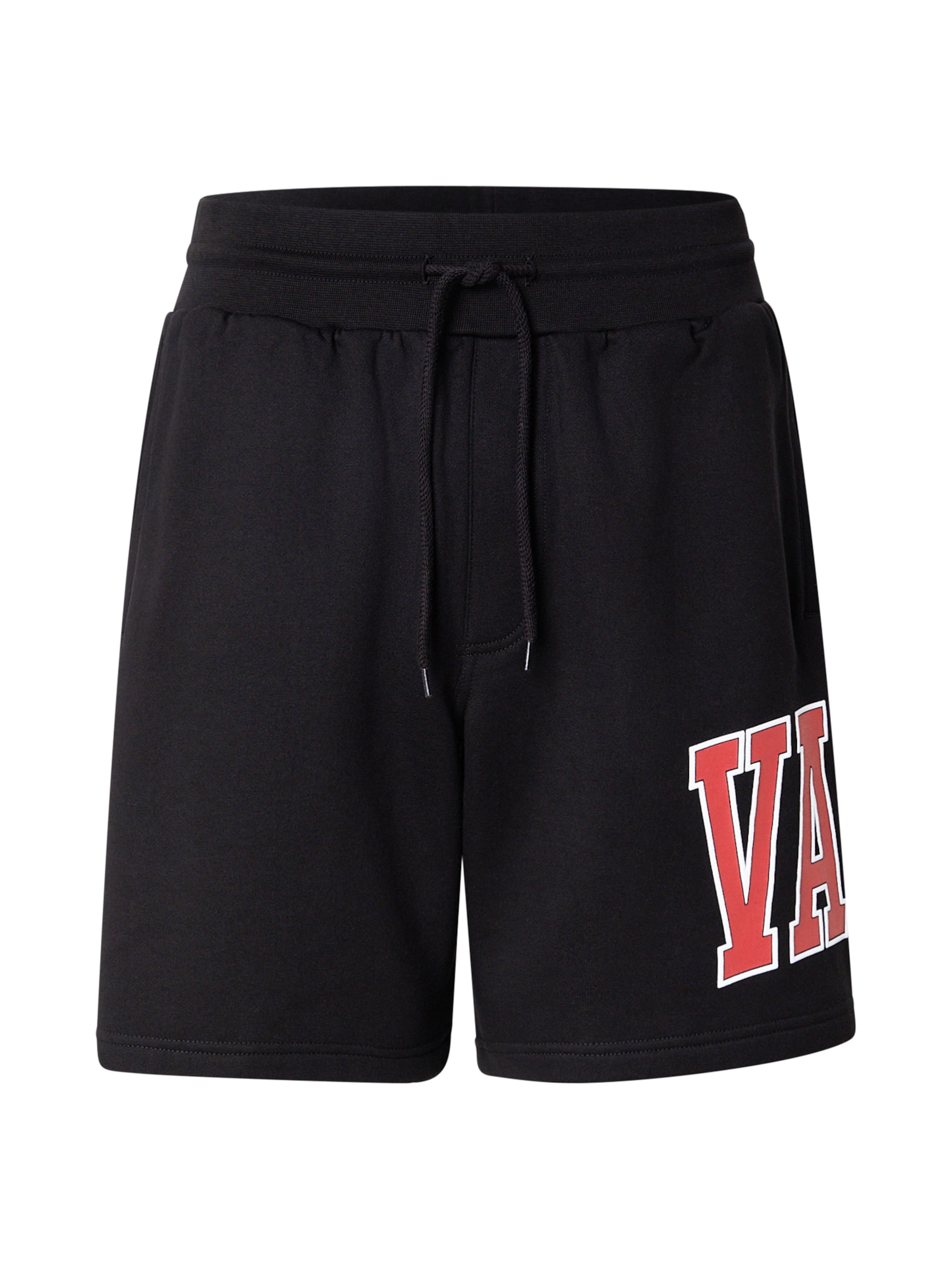 VANS Свободный крой Штаны 'Inter' в Черный: спереди