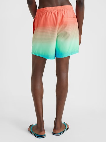 O'NEILL Bathing trunks in Mixed colours