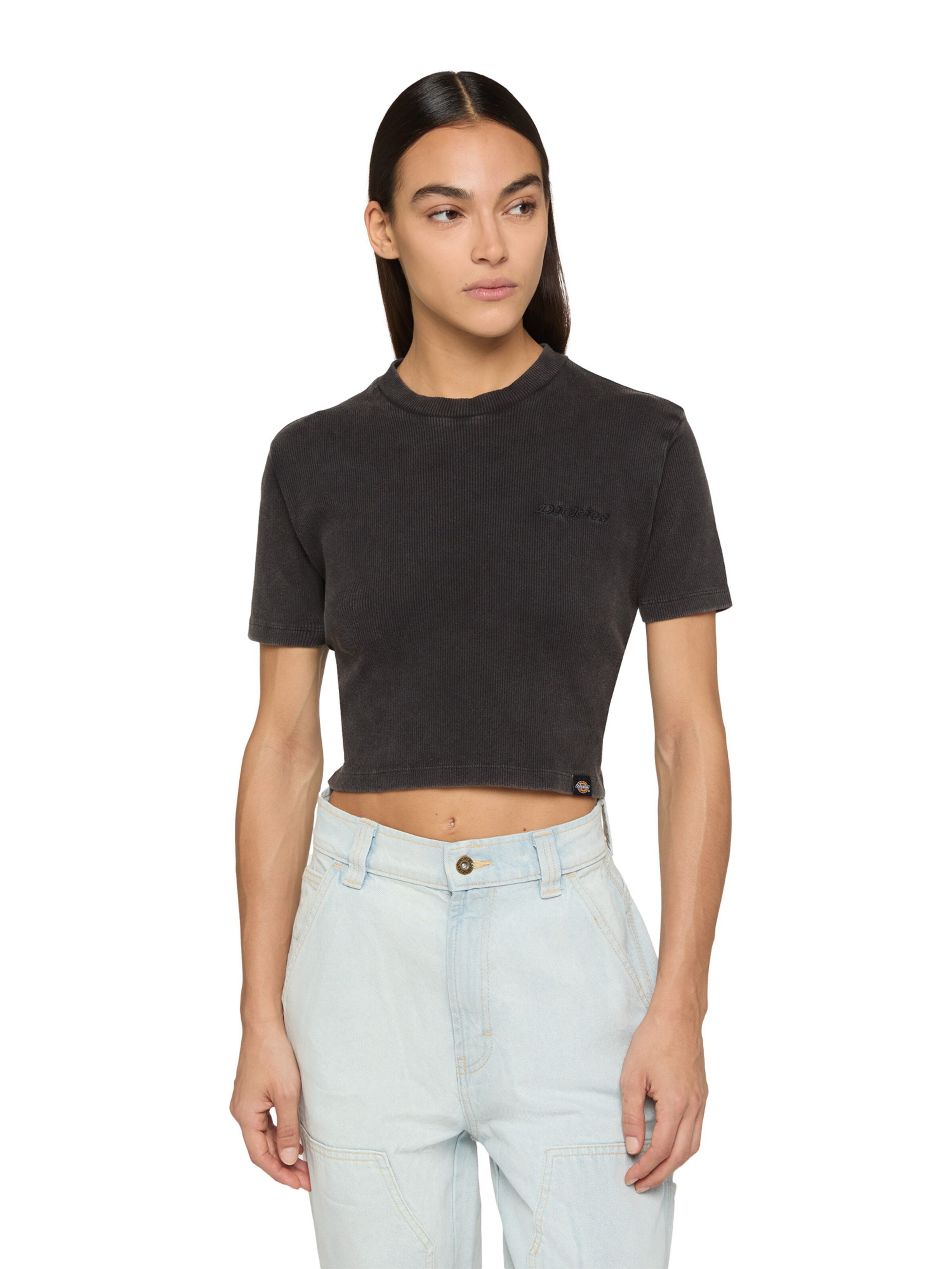 DICKIES T-Shirt 'Plentywood' in Schwarz: Vorderseite