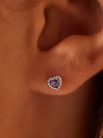Boucles d'oreilles Lucardi en argent : devant