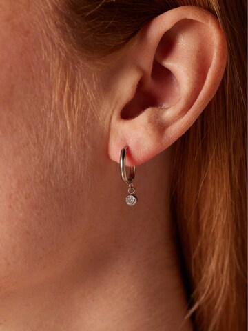 Lucardi Earrings in Silver: front