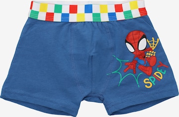 Sous-vêtements 'Spiderman' marvel en bleu : devant