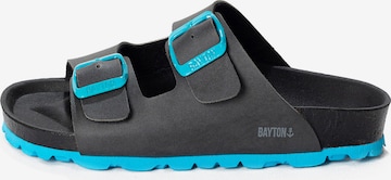 pilka Bayton Atviri batai 'Atlas': priekis