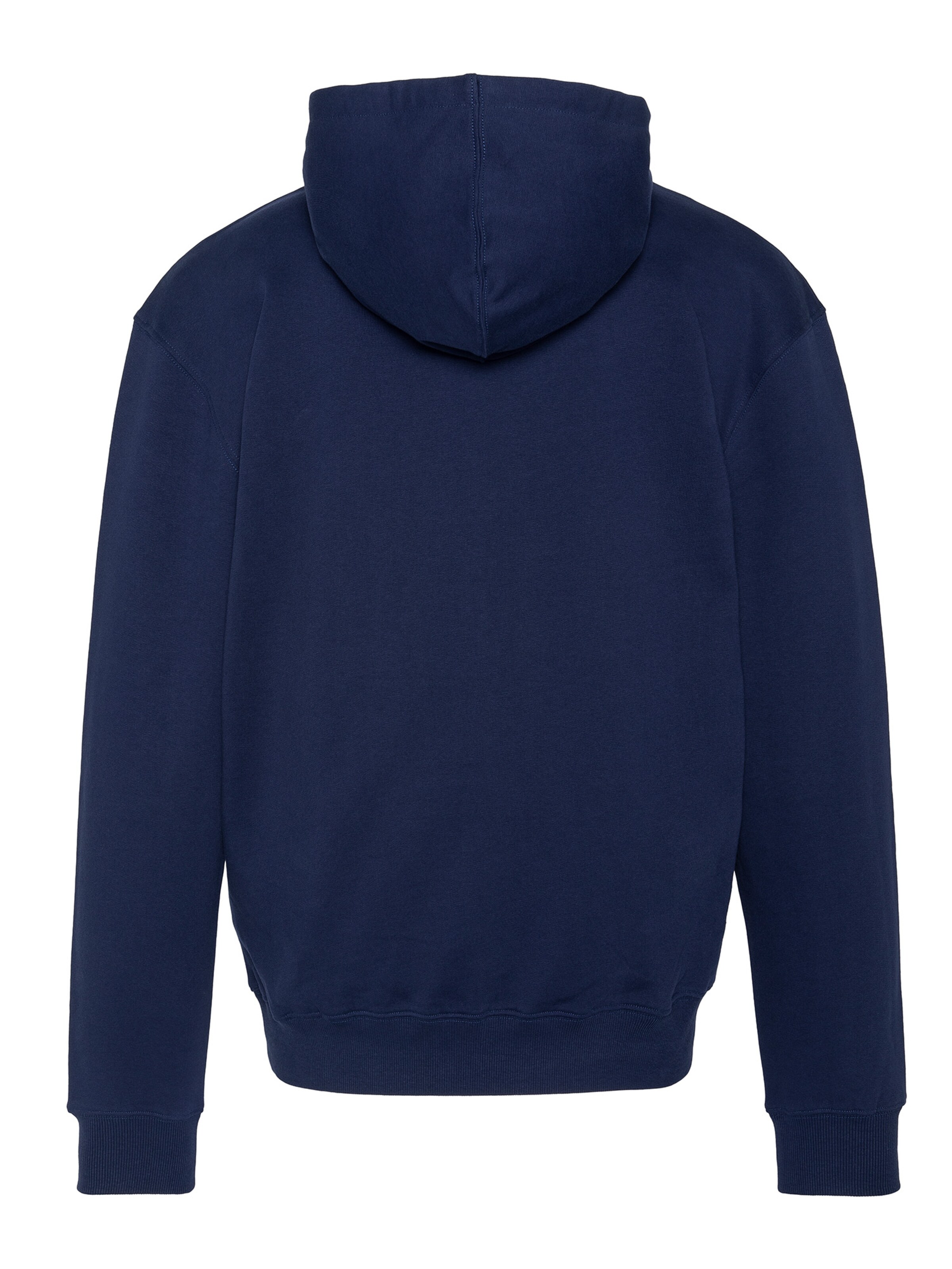 Schott NYC Sweatshirt in Blue