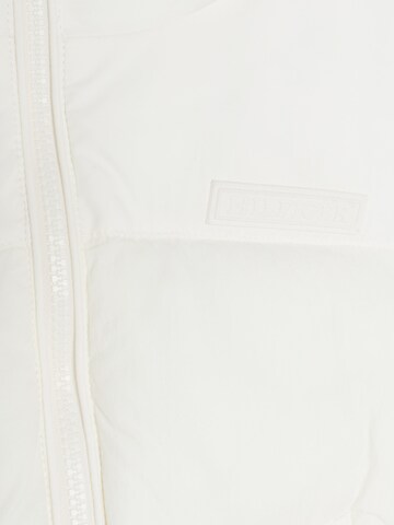 TOMMY HILFIGER Winter Jacket 'New York' in White