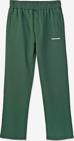 Pegador Trousers in Green: front