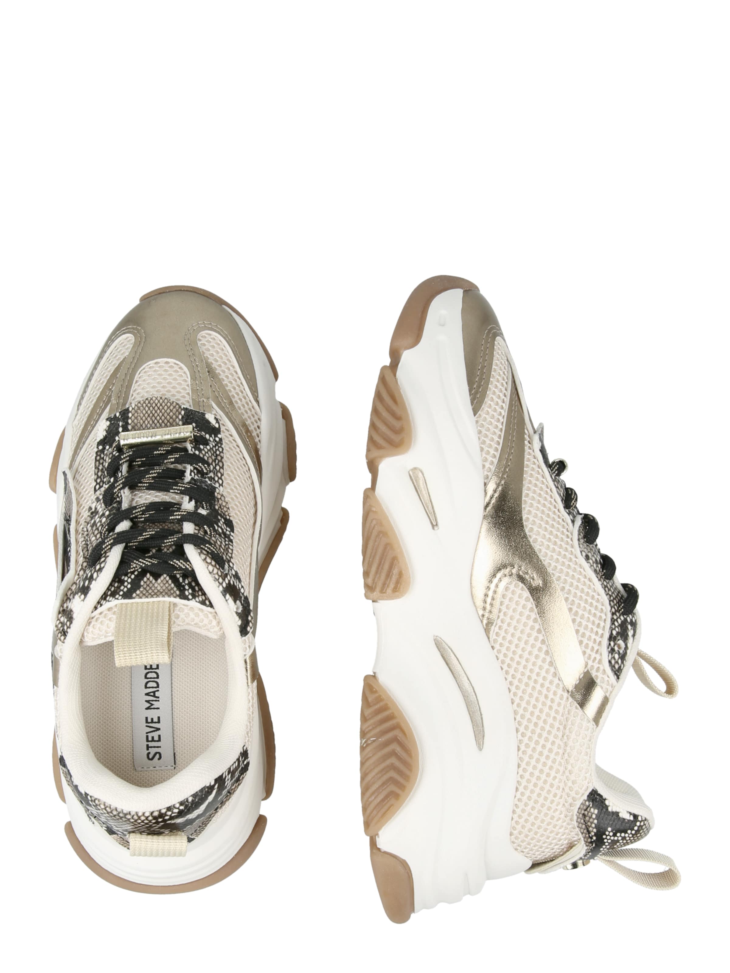 STEVE MADDEN Nizke superge 'POSSESSION-E' | rjava barva