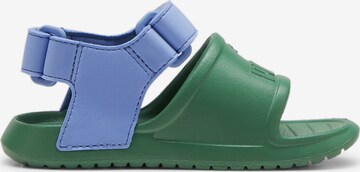 PUMA Sandals 'Divecat v2 Injex' in Green