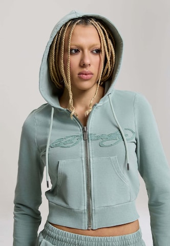 Ed Hardy - Sudadera con cremallera en verde