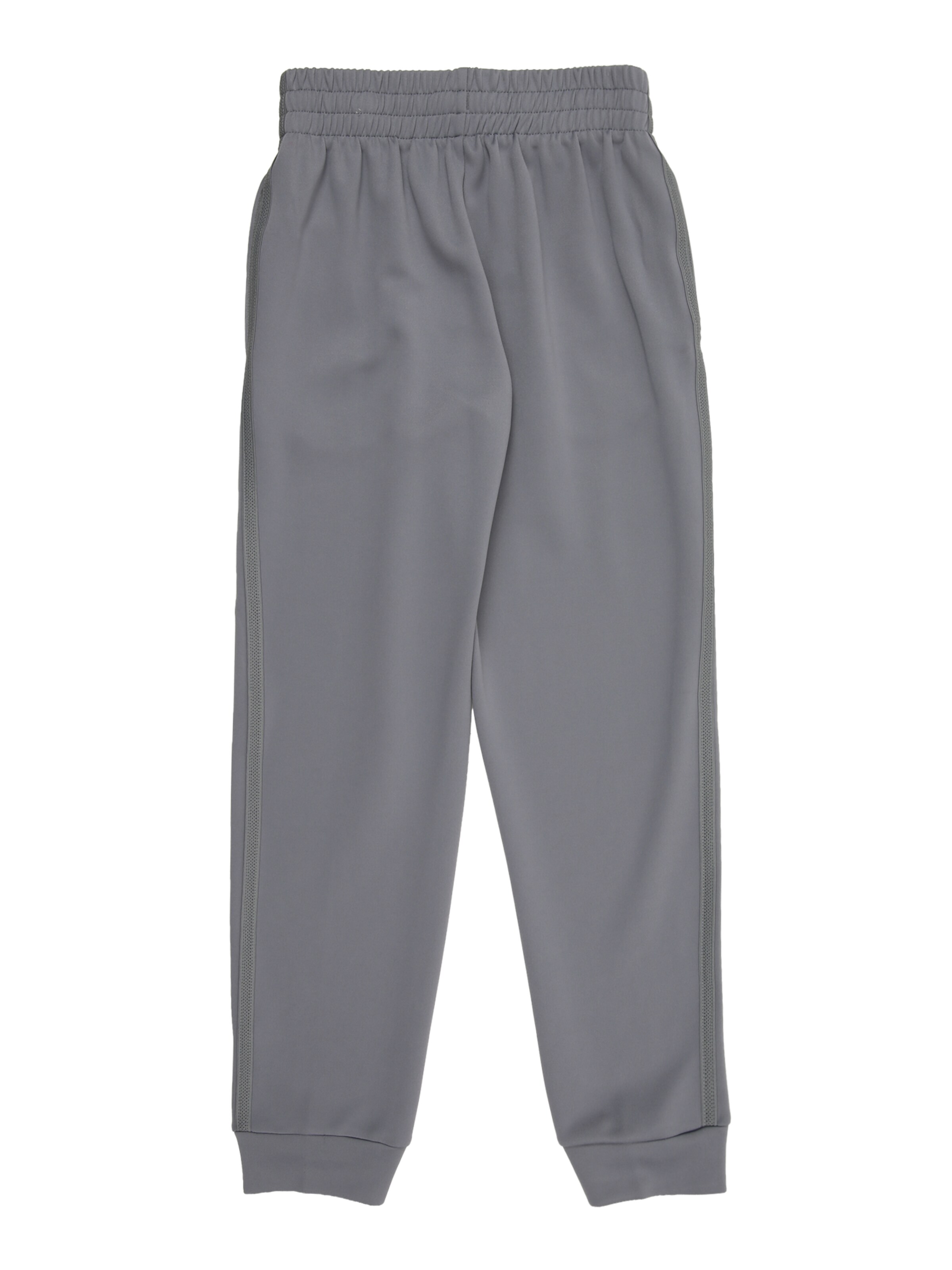 Regular Pantaloni sport de la NIKE pe gri