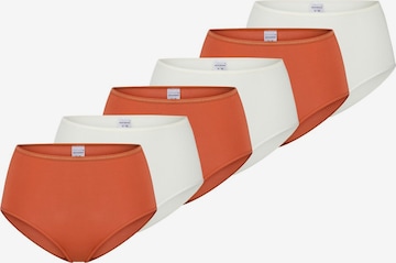 SCHIESSER Panty 'Modal Essentials' in Orange: front