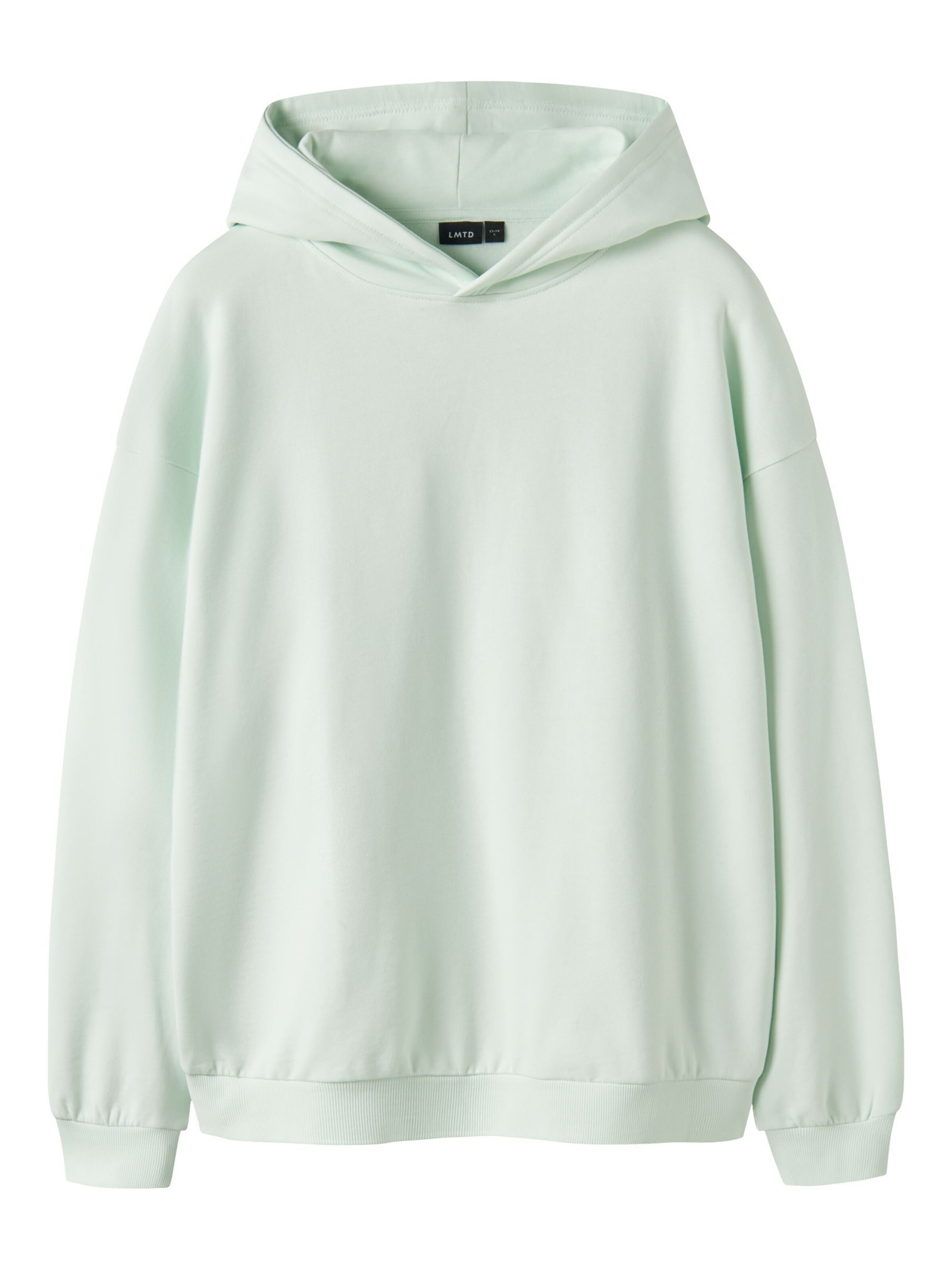 LMTD Sweat en vert pastel, Vue avec produit
