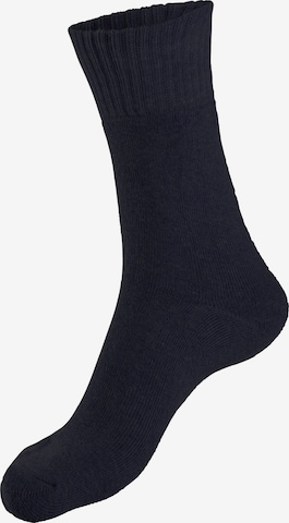 LAVANA Socks in Blue: front