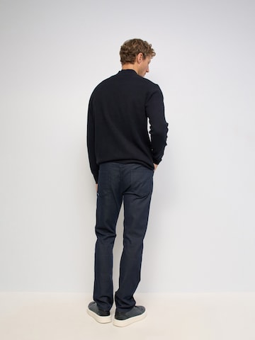 Salsa Jeans Loosefit Jeans in Blau