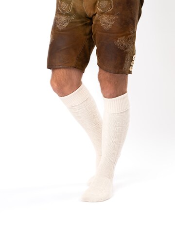 HerzSticht Trachtensocken 'Silberdistel'‌‌‌‌‌‌‌ in Beige