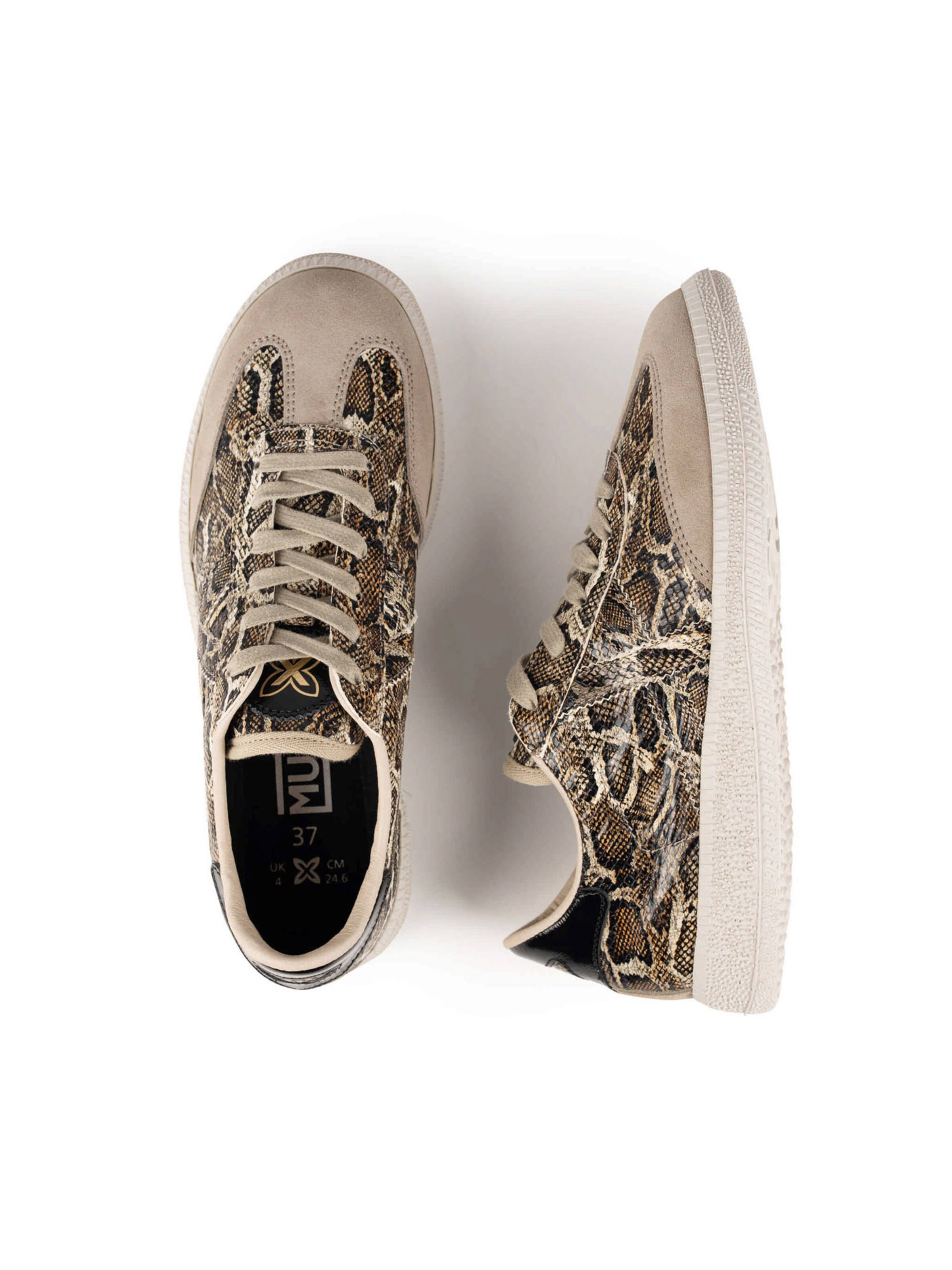Sneaker bassa 'BARRU' di MUNICH in marrone: superiore