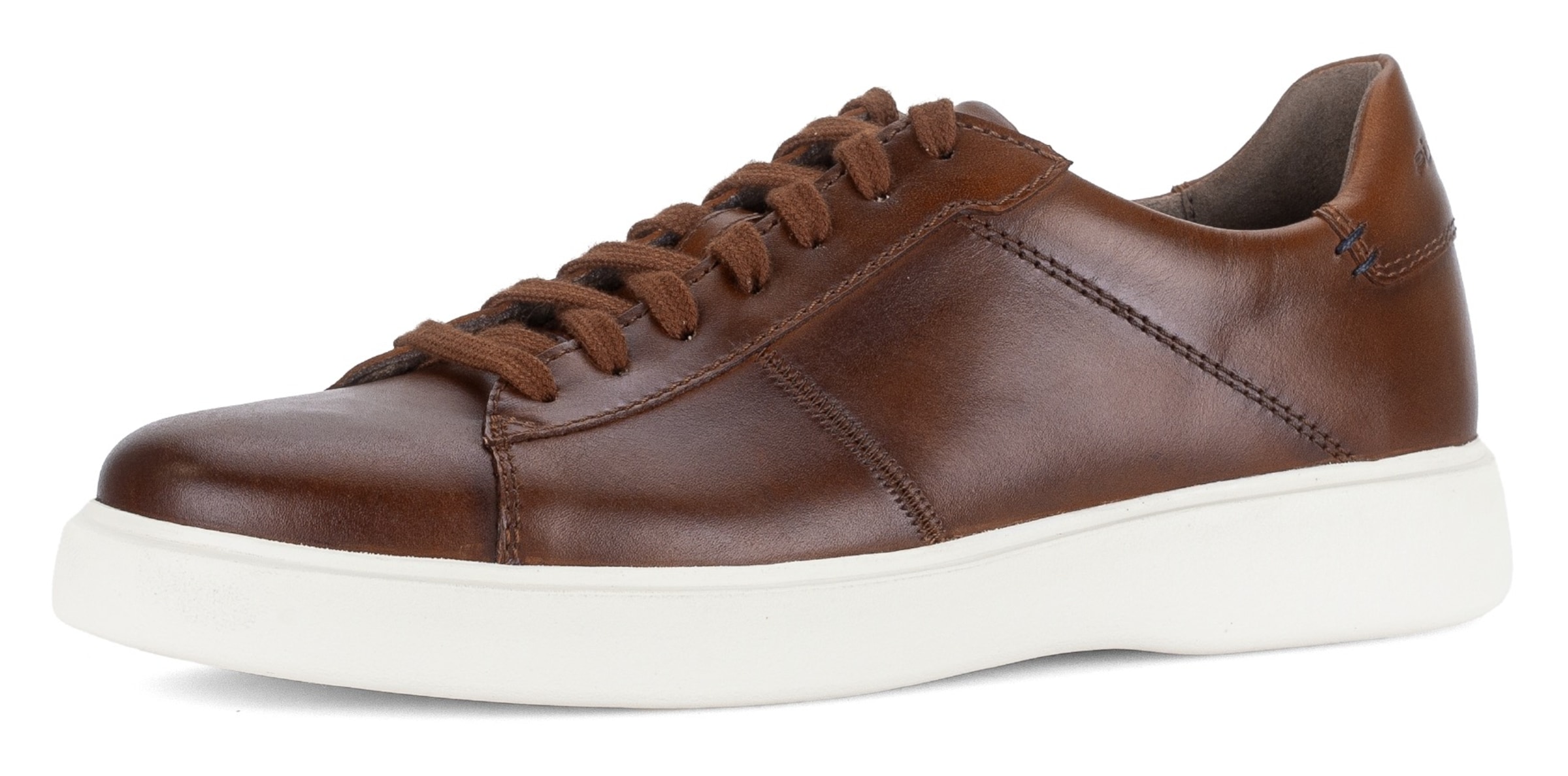 Baskets basses Pius Gabor en marron : devant