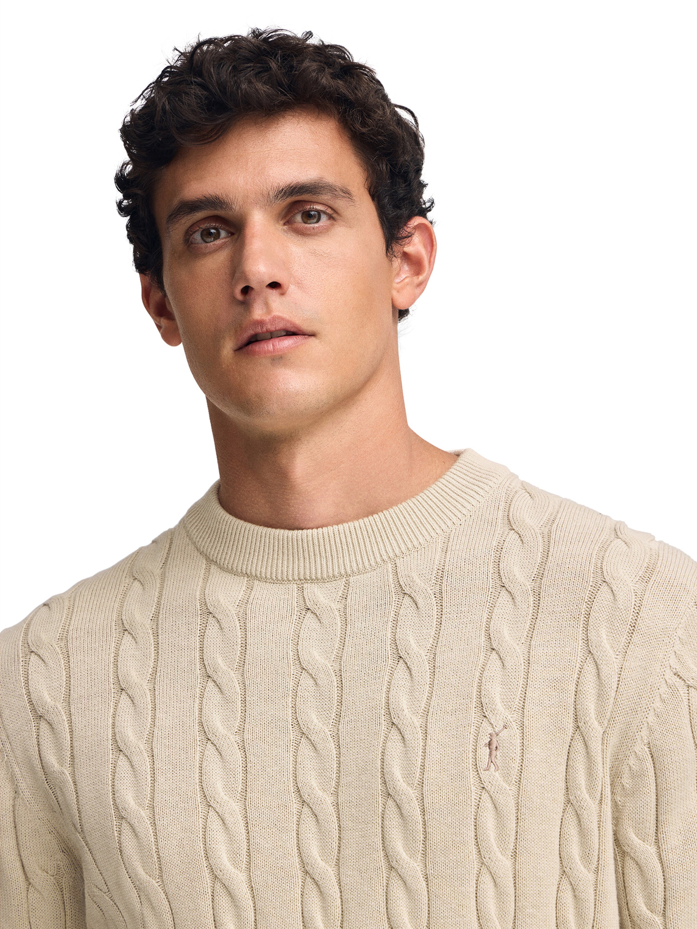 Polo Club Pullover in Beige
